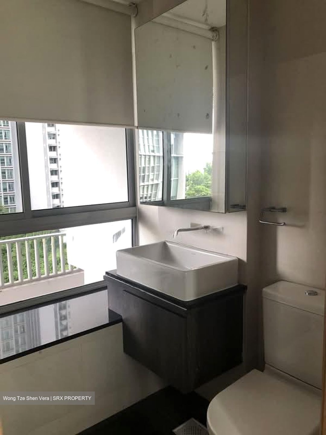 Iridium (D11), Apartment #606855711